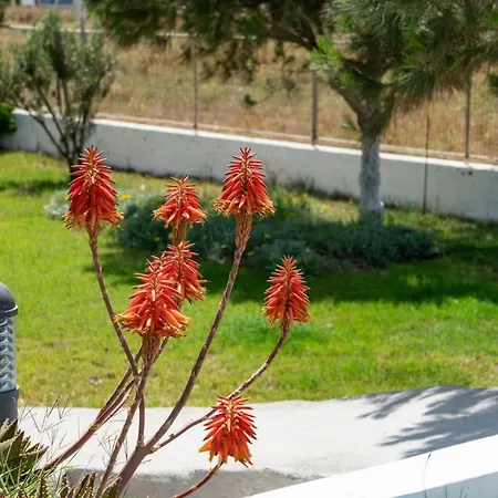 In A Family 3* Perivolos (Santorini)